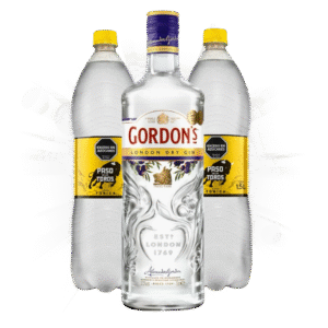 PROMO GIN GORDON'S + 2 PASOS DE LOS TOROS TONICA 1.5L.