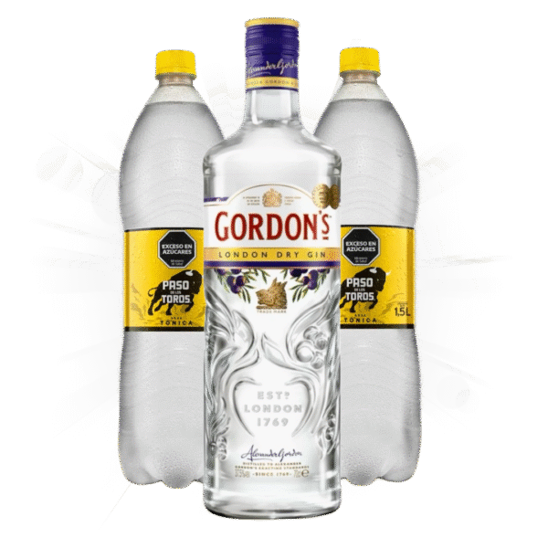 PROMO GIN GORDON'S + 2 PASOS DE LOS TOROS TONICA 1.5L.
