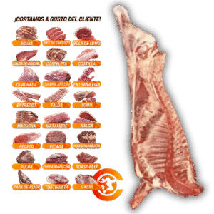 Media Res Vacuna Xkg